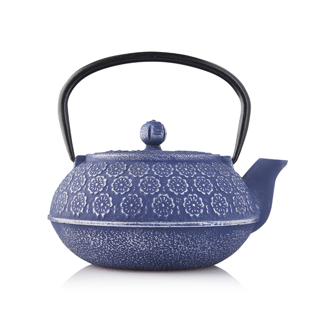 Resveralife Japanese Cast Iron Teapot